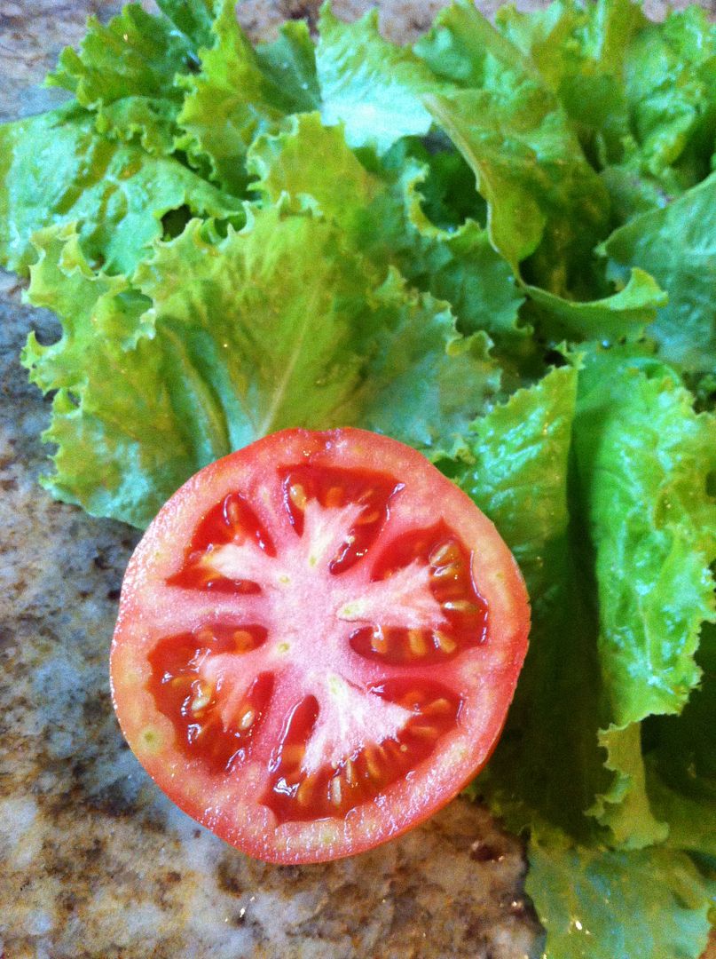 first produce from our home grown garden