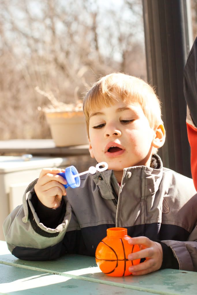 Family Projects: The boys pent time organizing football cards