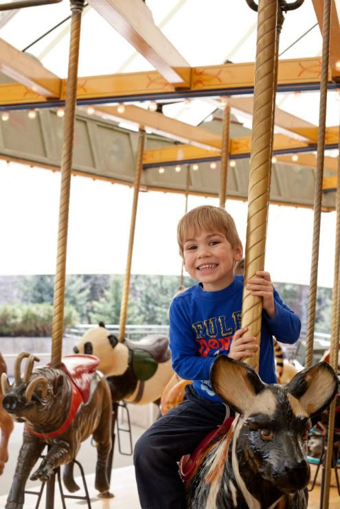 Sean on a ride at the zoo