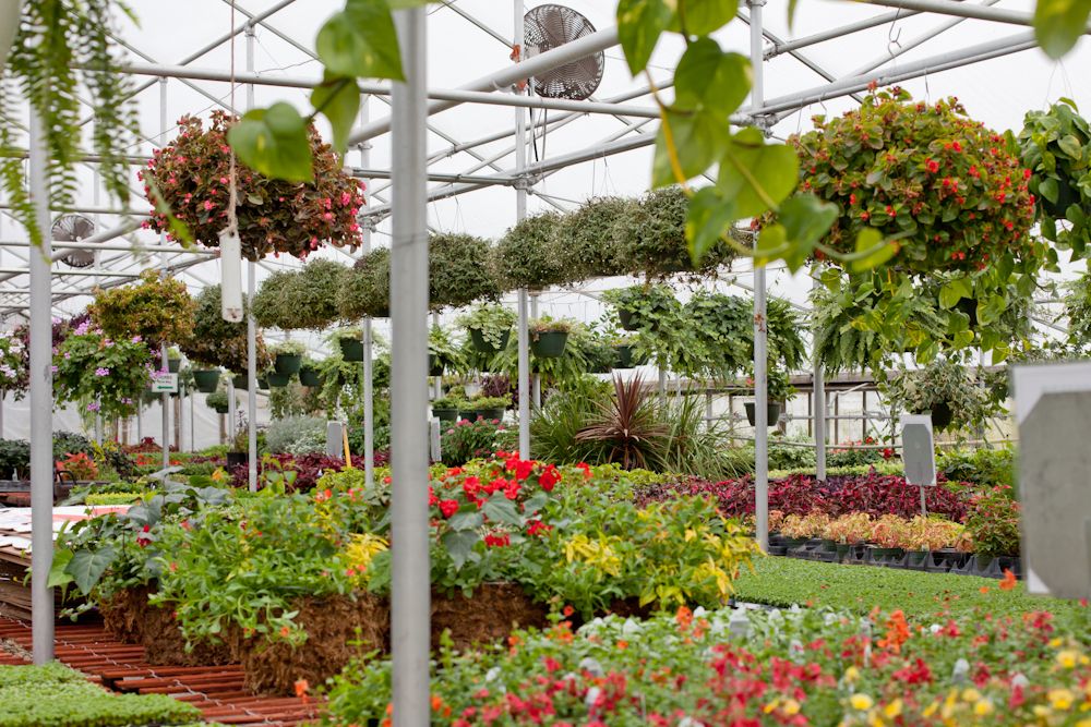 greenhouse that provides job training for individuals with disabilities