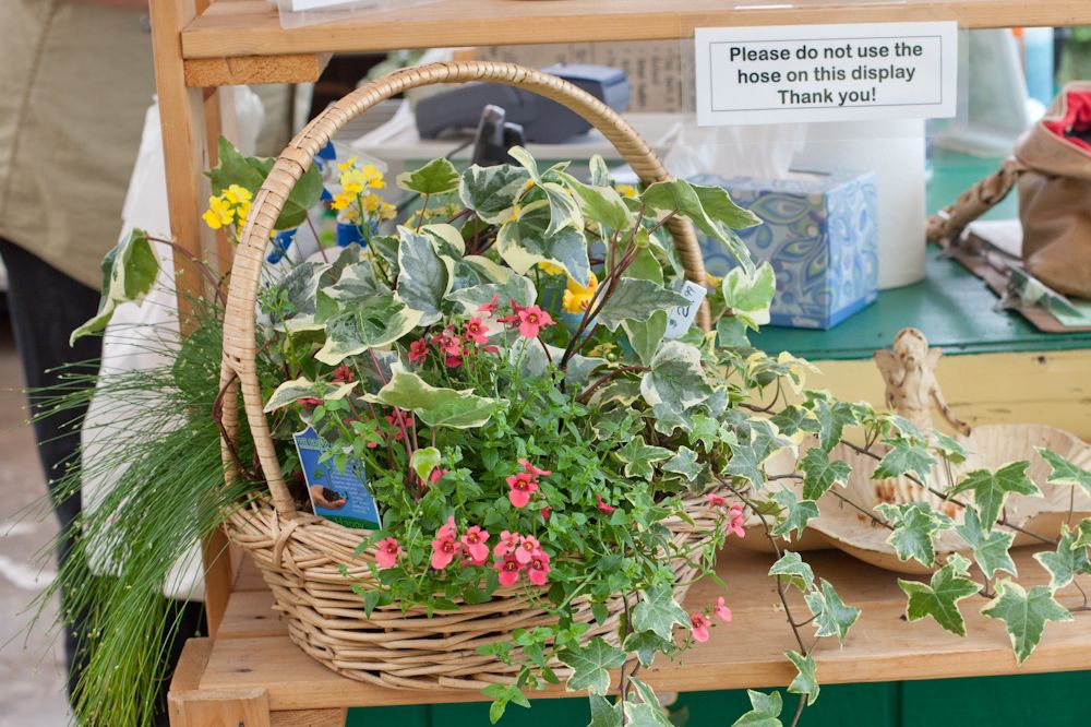 greenhouse that provides job training for individuals with disabilities - mothers day basket of flowers