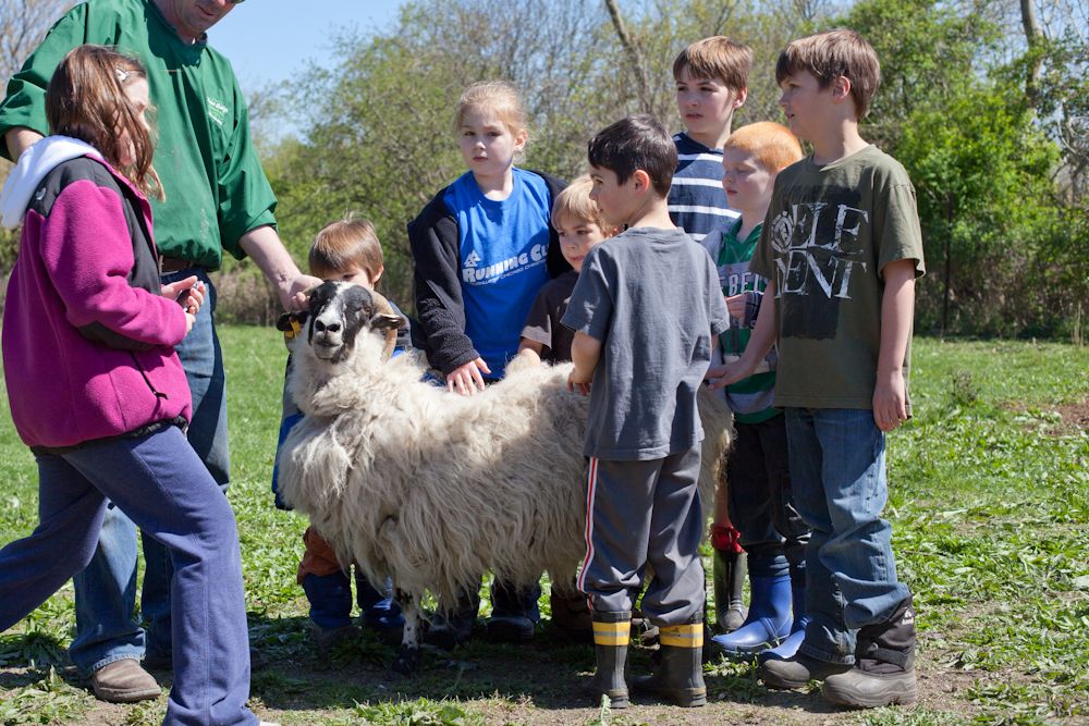 Kids played at family sheep farm