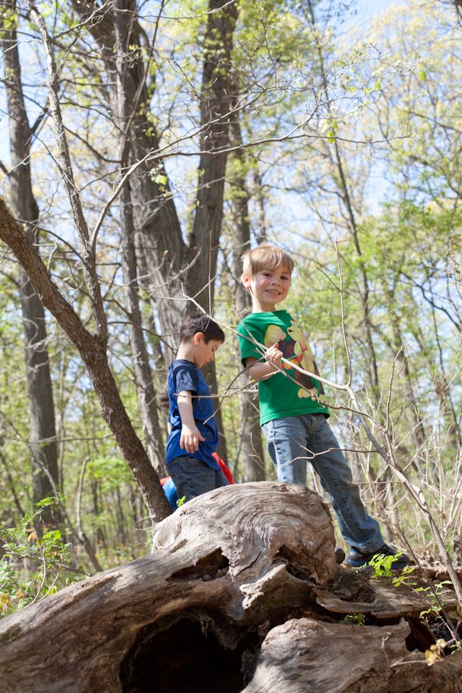 Forest Preserve in Palos Park, IL: enjoying time with the kids