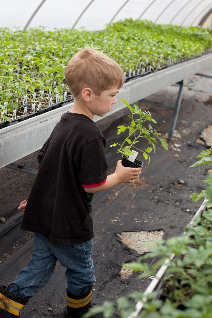 We Grow Dreams: a green house that supports people with disabilities