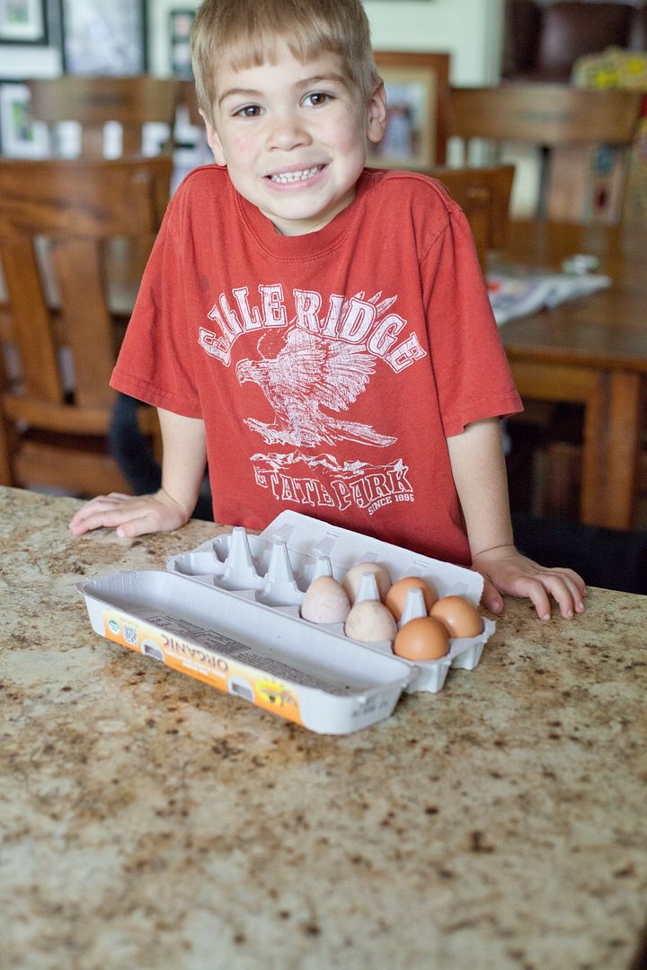 Family time: Fresh eggs from our back yard chickens