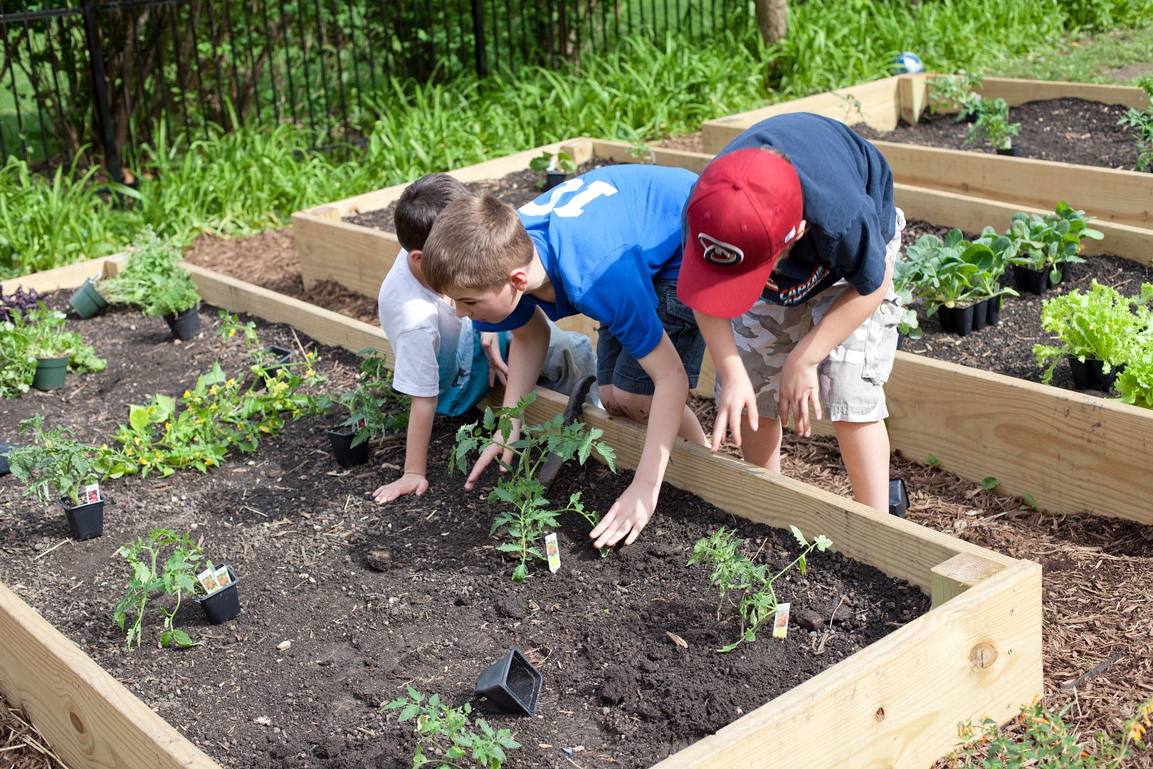 Planting Flowers:  Spending time with the kids teaching them how to plant a flower bed