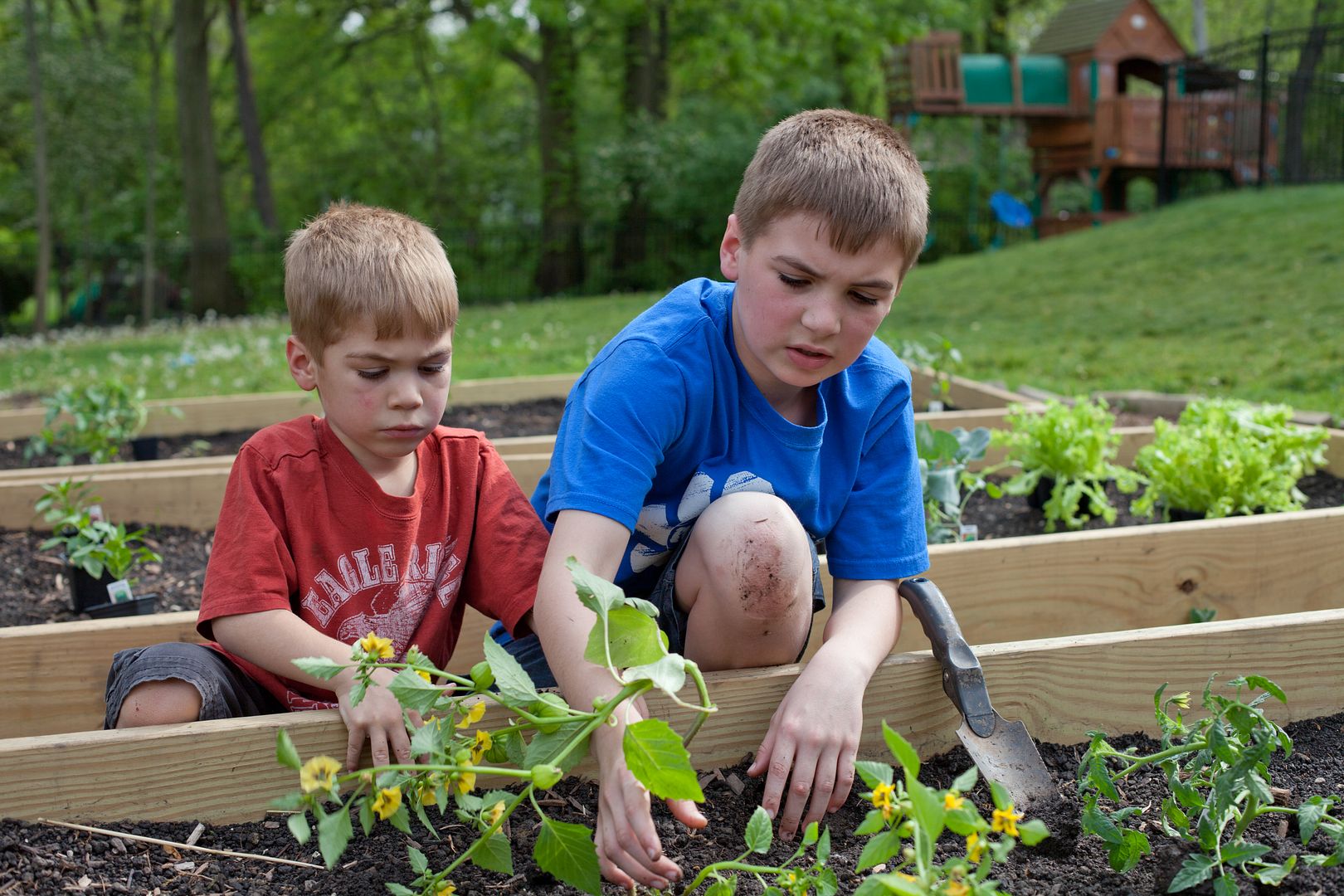 Planting Flowers:  Spending time with the kids teaching them how to plant a flower bed