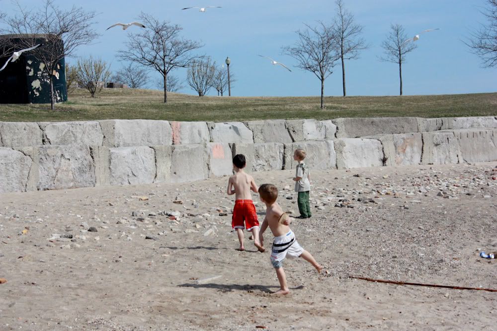 The boys were chasing sea gulls