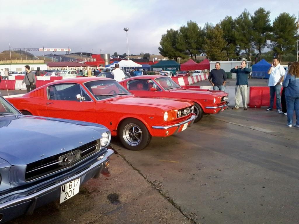 2013-10-20093559_zpsb2593155.jpg