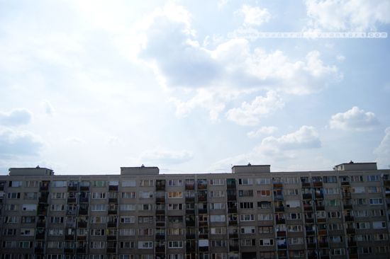 Kép