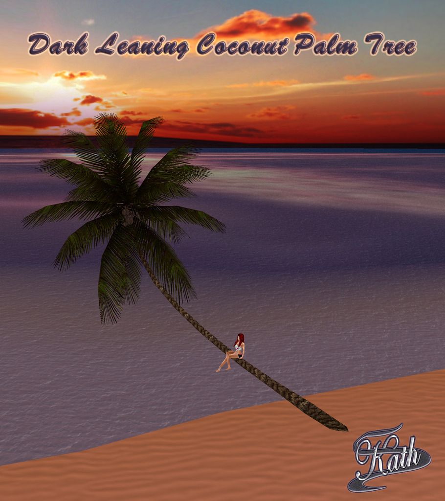  photo Dark Leaning Coconut Palm Tree Description Pic_zps2l2gdhpz.jpg