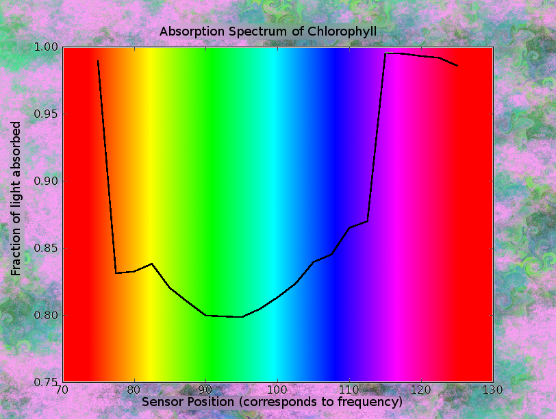Chlorophyll Absorption Spectrum. The absorbance spectrum of