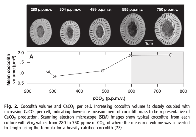 coccolithophore growth in response to increased CO2