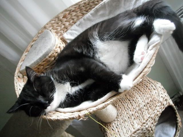 DSCF7335.jpg
