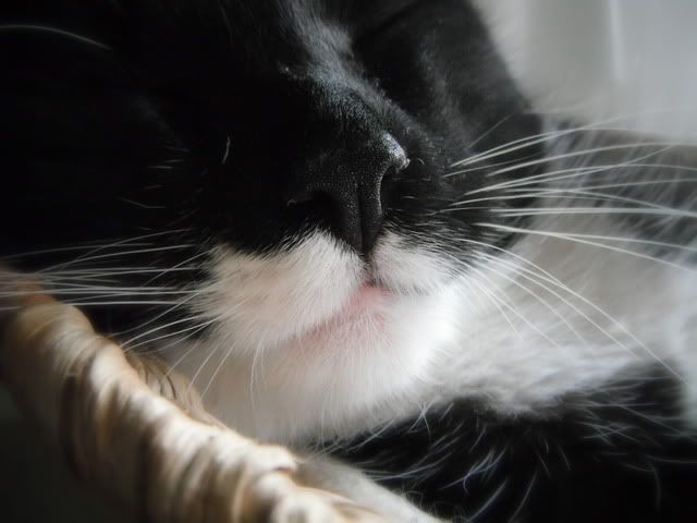DSCF7339.jpg