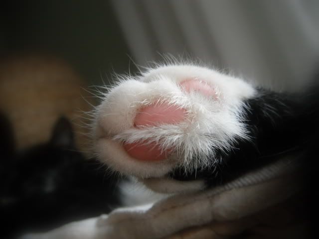 DSCF7340.jpg