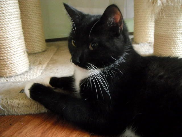 DSCF7370.jpg