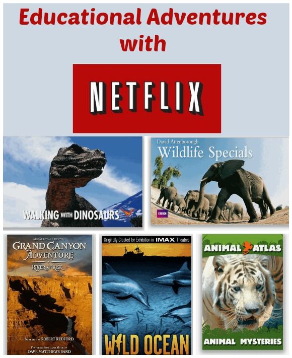 Educational Adventures with Netflix Educational Adventures with Netflix