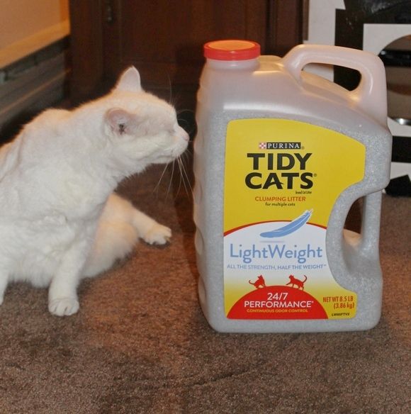 Tidy Cats Lightweight Litter at Dollar General