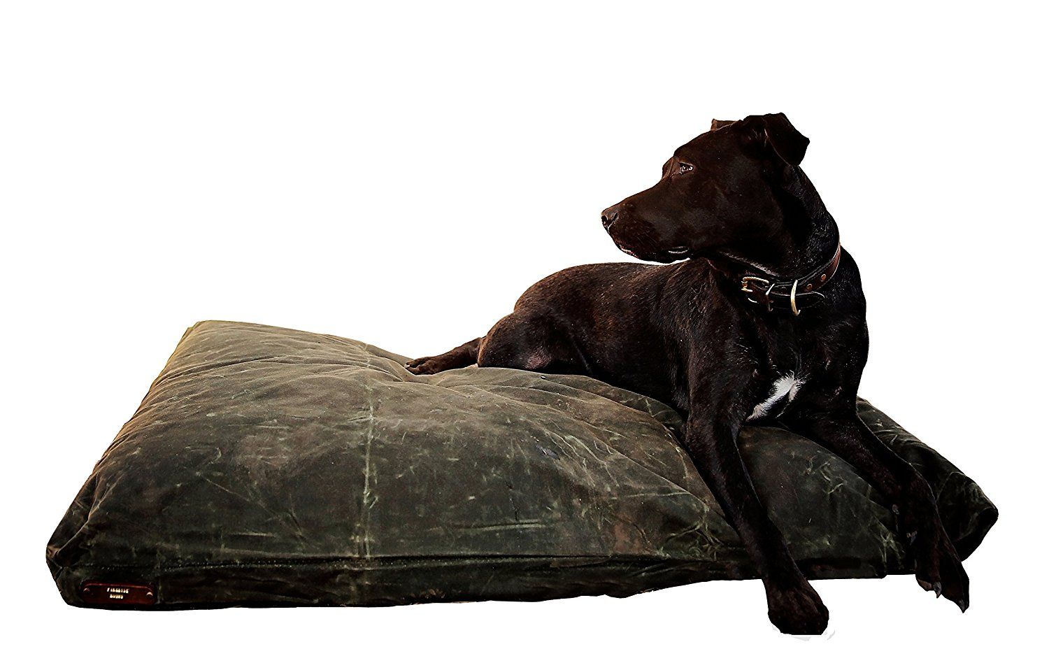 10 Best Hypoallergenic Dog Beds and Blankets guide)