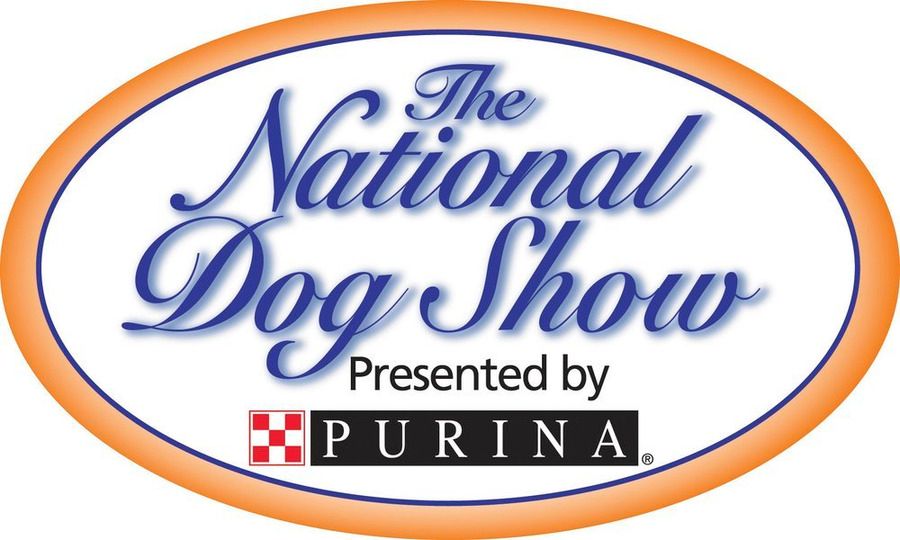 2015 National Dog Show Recap: The Year of the Underdog