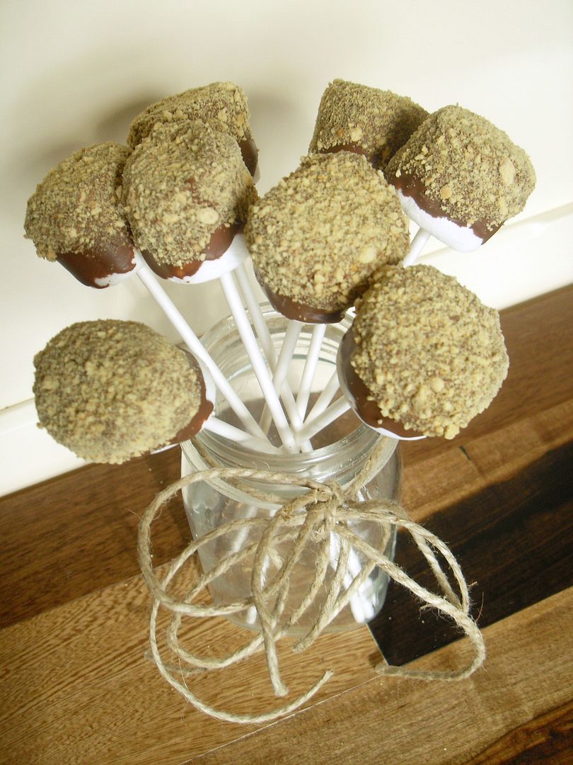 fun recipes for camping smore's pops fun recipes for camping smore's pops