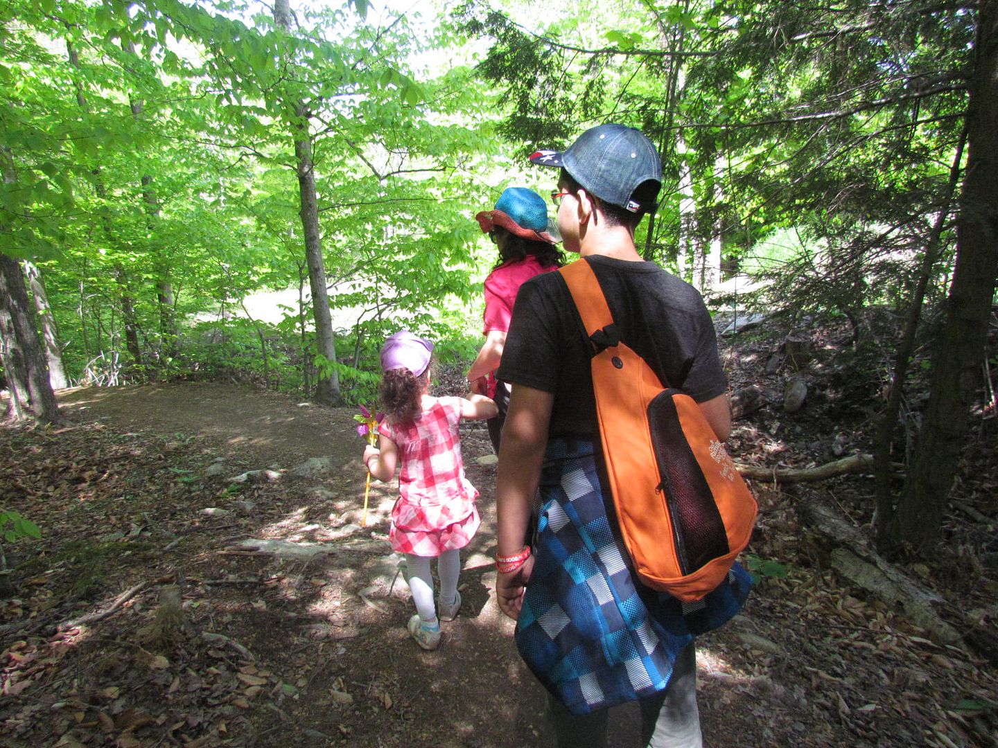 Hiking: Fun Family Activity to Fight Childhood Obesity Hiking: Fun Family Activity to Fight Childhood Obesity