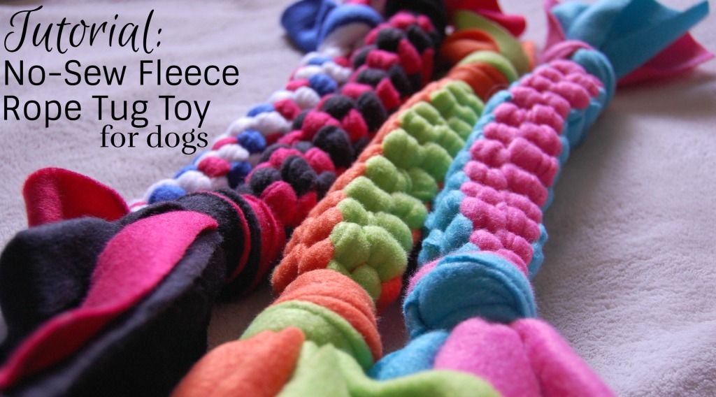 make-an-adorable-diy-squeaker-toy-for-your-pup-homemade-dog-toys-diy