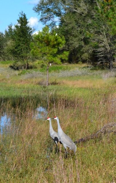  photo DSC_0096.jpg