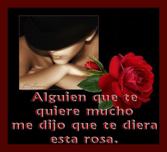  photo Alguien-que-te-quiere-me-dijo-te-diera-esta-rosa_zps84be21f9.jpg