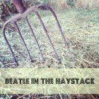 Beatle in the Haystack