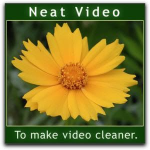 01_neat_video_noise_reduction.jpg