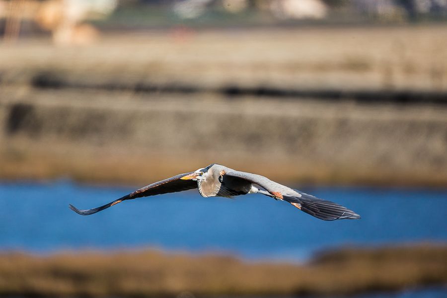 IMAGE: http://i1109.photobucket.com/albums/h433/shutter_dreams/1DX/AK1X0002-5_zpspgwurkom.jpg