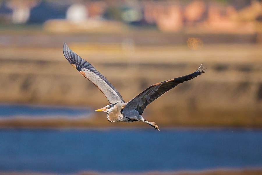 IMAGE: http://i1109.photobucket.com/albums/h433/shutter_dreams/1DX/AK1X0005-5_zpsodqyfg8r.jpg