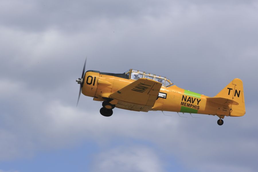 IMAGE: http://i1109.photobucket.com/albums/h433/shutter_dreams/1DX/AK1X7535_zpsvxykptrs.jpg