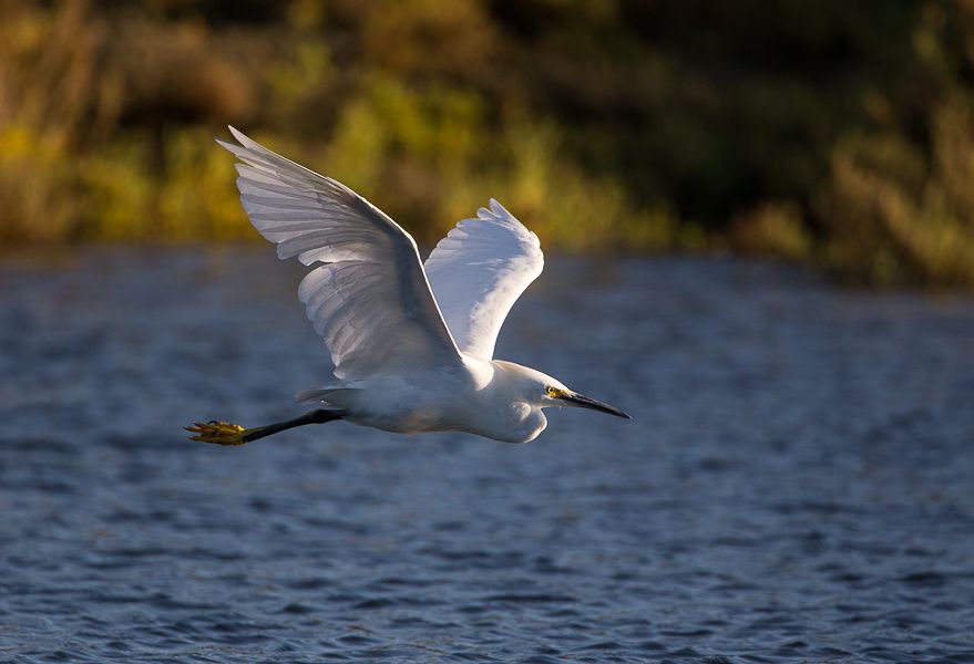 IMAGE: http://i1109.photobucket.com/albums/h433/shutter_dreams/1DX/AK1X9013_zpscjhfet8b.jpg