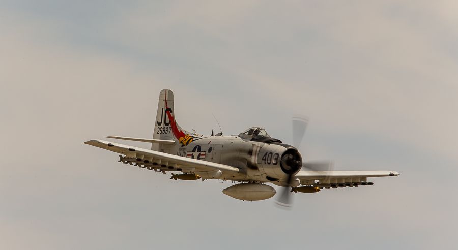 IMAGE: http://i1109.photobucket.com/albums/h433/shutter_dreams/1DX/AK1X9405_zpseq6rttvr.jpg