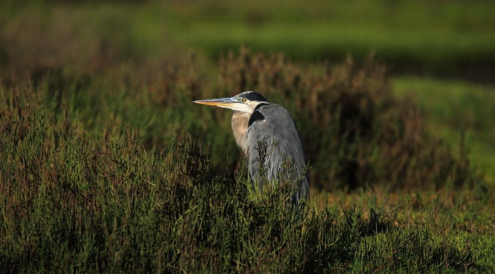 IMAGE: http://i1109.photobucket.com/albums/h433/shutter_dreams/1Dii/JB2I0519_zps5f6ed4c1.jpg