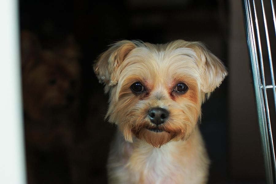 IMAGE: http://i1109.photobucket.com/albums/h433/shutter_dreams/1Dii/JB2I1478a_zps97148c4a.jpg