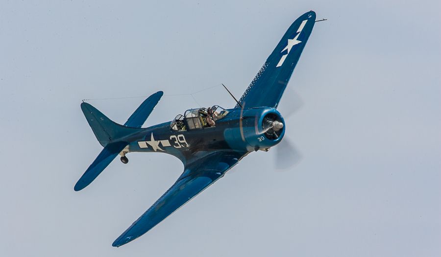 IMAGE: http://i1109.photobucket.com/albums/h433/shutter_dreams/1Dii/JB2I2751-2_zpsoglqdoj7.jpg