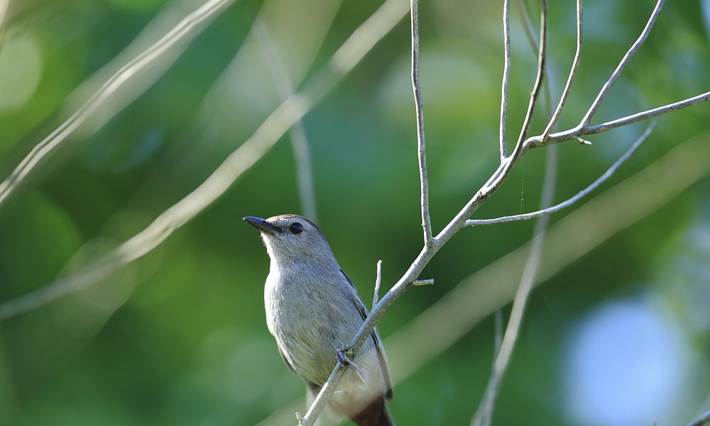 IMAGE: http://i1109.photobucket.com/albums/h433/shutter_dreams/1Div/MKO_6143_zps14c919cb.jpg