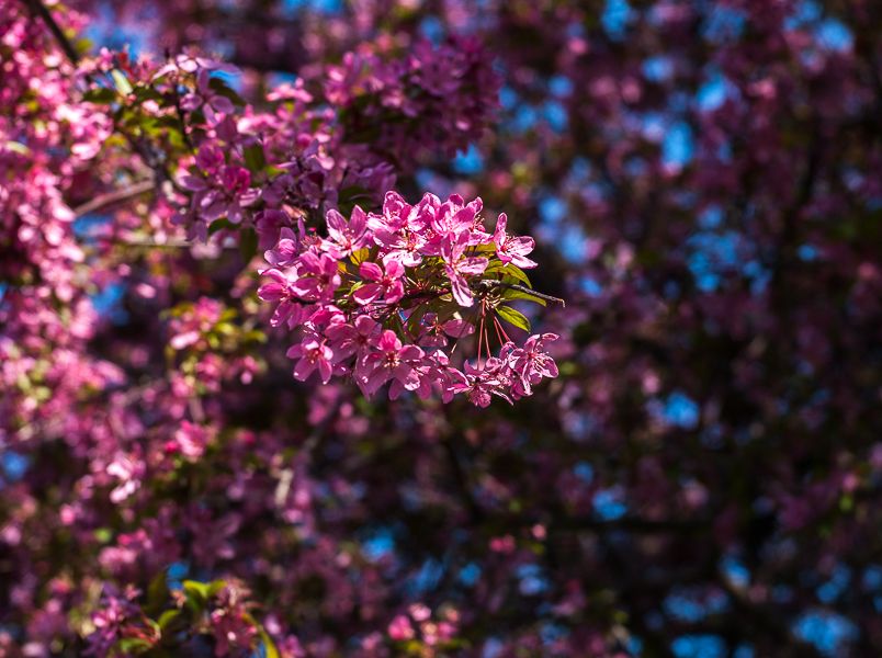 IMAGE: http://i1109.photobucket.com/albums/h433/shutter_dreams/500cm/CF329497-3_zpsmyqebyqm.jpg