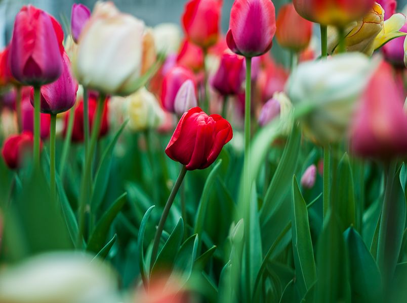 IMAGE: http://i1109.photobucket.com/albums/h433/shutter_dreams/500cm/CF329526-3_zpsfzv2ouic.jpg