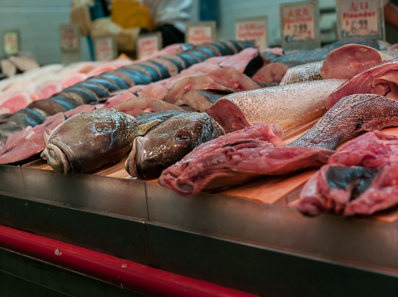 IMAGE: http://i1109.photobucket.com/albums/h433/shutter_dreams/500cm/CF329582-2_zpsvuzlzkzp.jpg