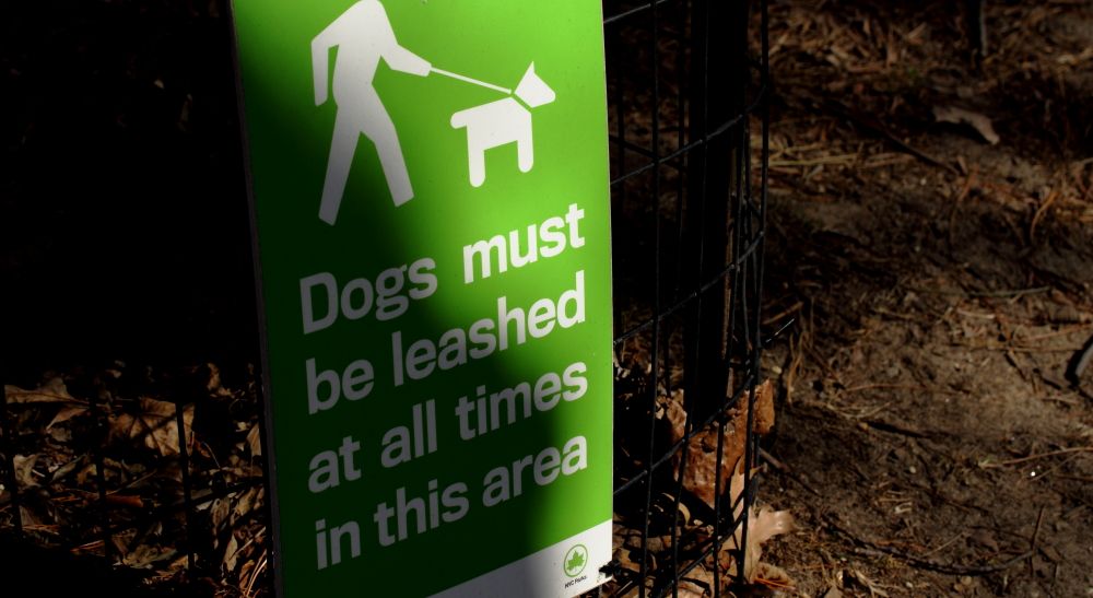 IMAGE: http://i1109.photobucket.com/albums/h433/shutter_dreams/50D/IMG_6432_zps134e2ffc.jpg