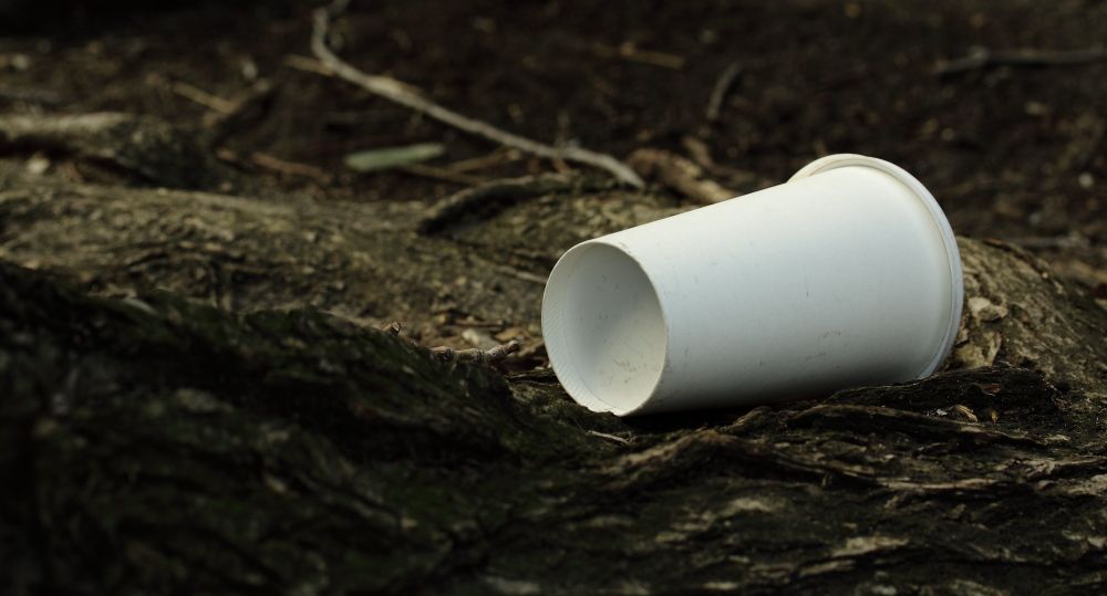 IMAGE: http://i1109.photobucket.com/albums/h433/shutter_dreams/50D/IMG_6439_zpsff80f7c6.jpg