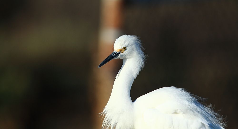 IMAGE: http://i1109.photobucket.com/albums/h433/shutter_dreams/5D/IMG_6218a_zpsadaf9951.jpg