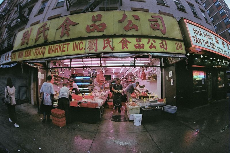 IMAGE: http://i1109.photobucket.com/albums/h433/shutter_dreams/AE1/44920023-12_zpscb58a997.jpg