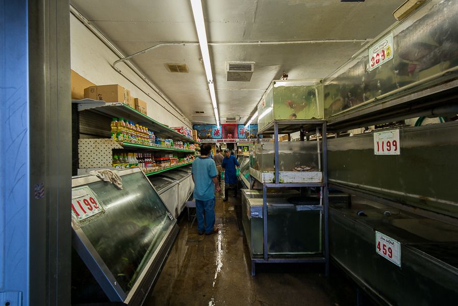 IMAGE: http://i1109.photobucket.com/albums/h433/shutter_dreams/m-p/L1000499-2_zpsfydblkwa.jpg