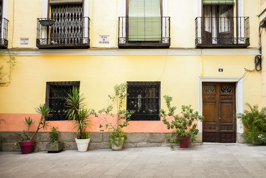 IMAGE: http://i1109.photobucket.com/albums/h433/shutter_dreams/m-p/L1001086-4_zpsblcaonfs.jpg